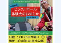 ピックルボール体験会